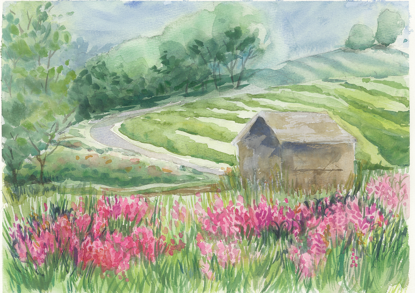 Cider Hill Farms Flower Fields