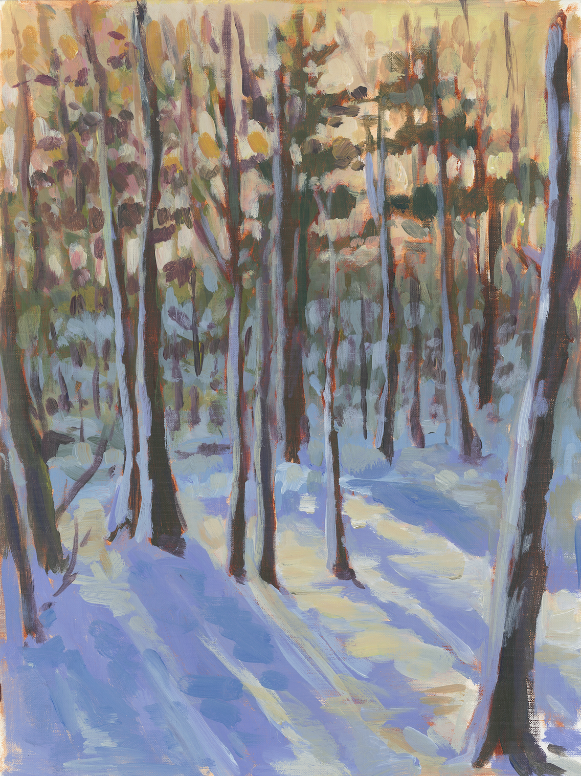 Snowy Woods | Greeting Card